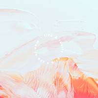 Man Is Not A Bird : Life & Levity